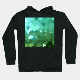 Dartmouth Green Abstract Low Polygon Background Hoodie